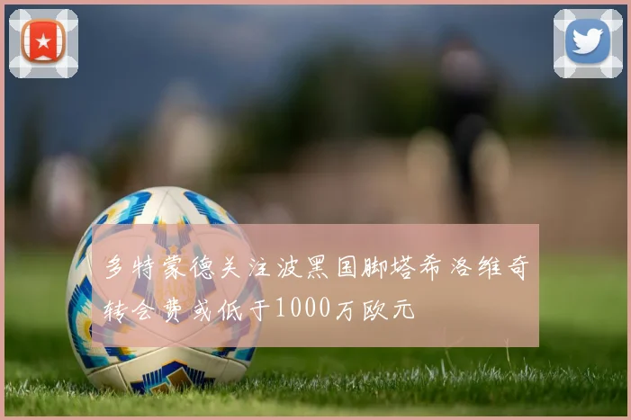 多特蒙德关注波黑国脚塔希洛维奇转会费或低于1000万欧元